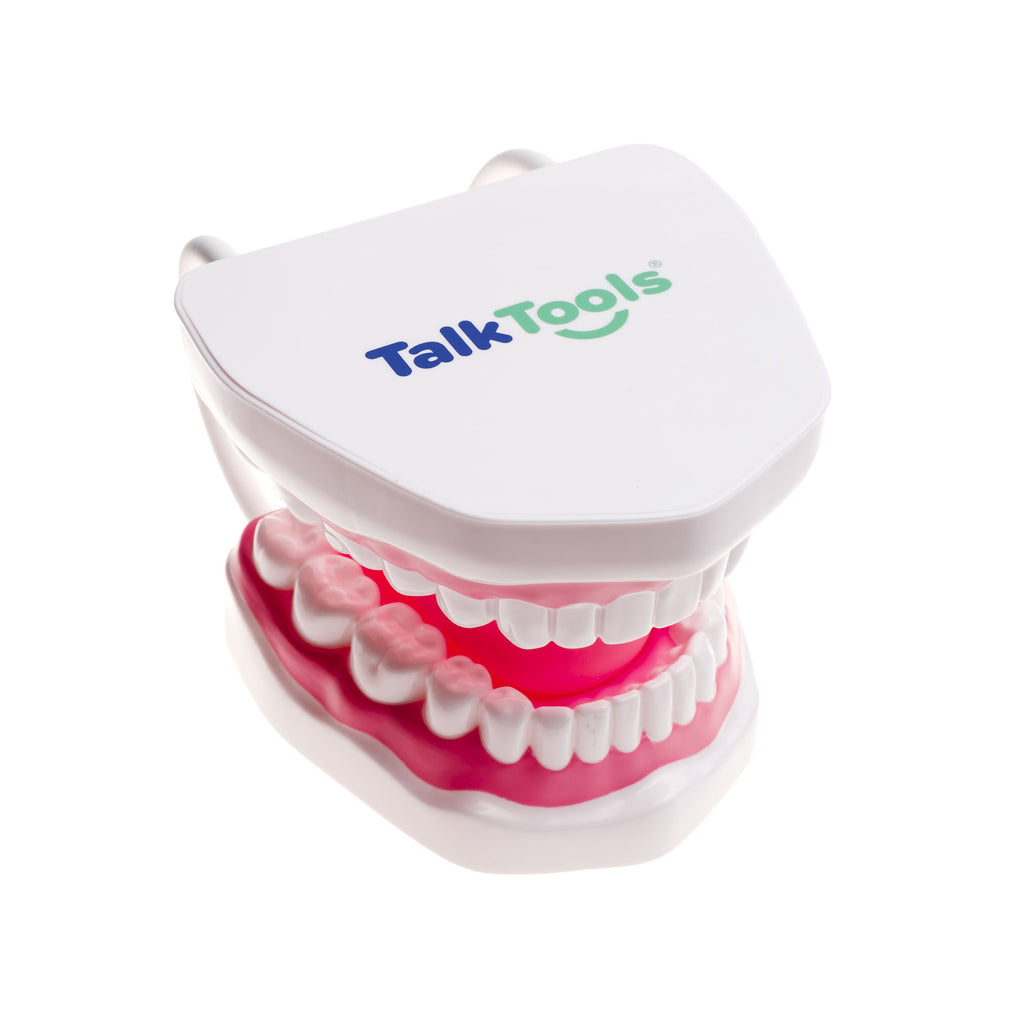 TalkTools Mouth Demonstrator with white top and pink base, showcasing realistic teeth and gums for educational use.