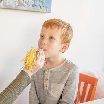 TalkTools Horn Kit Horn 9 view 2