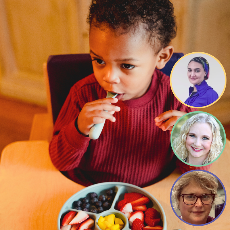 The Kaleidoscope Model for Feeding course photo