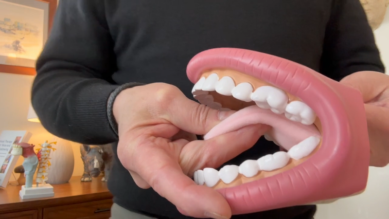Rethinking Manual Therapy and Exercise for the Tongue